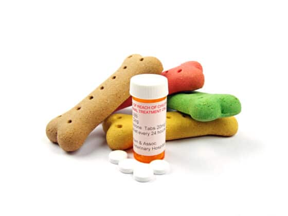 Multi-colored dog bone treats with a bottle of white pills.