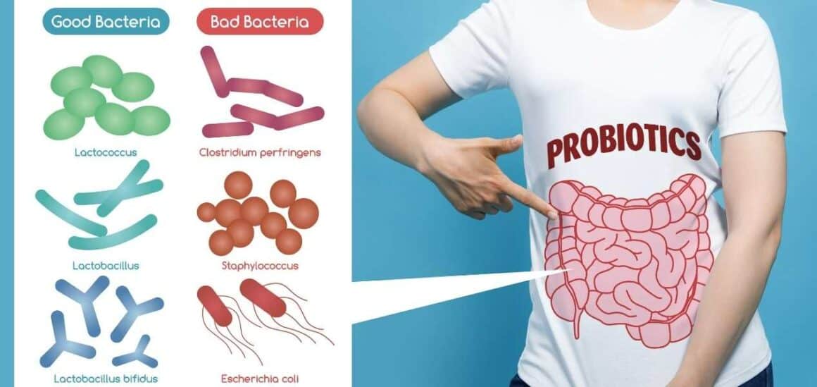 How Long Do Vaginal Probiotics Take To Work How Long Does It Take For Probiotics To Work? - Drug Genius