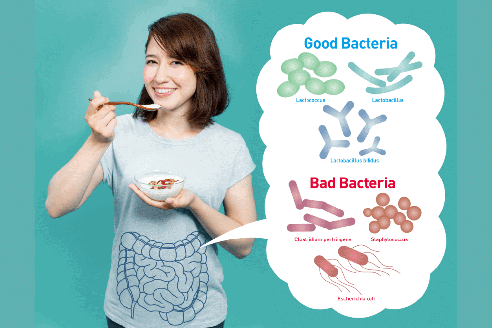 How Long Do Vaginal Probiotics Take To Work How Long Does It Take For Probiotics To Work? - Drug Genius