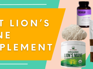 Best Lion’s Mane Supplement