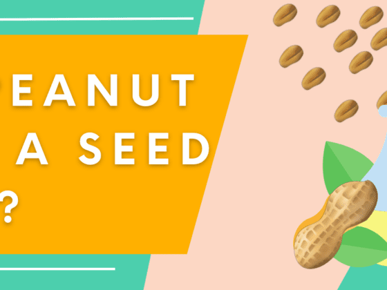 Is Peanut Oil a Seed Oil