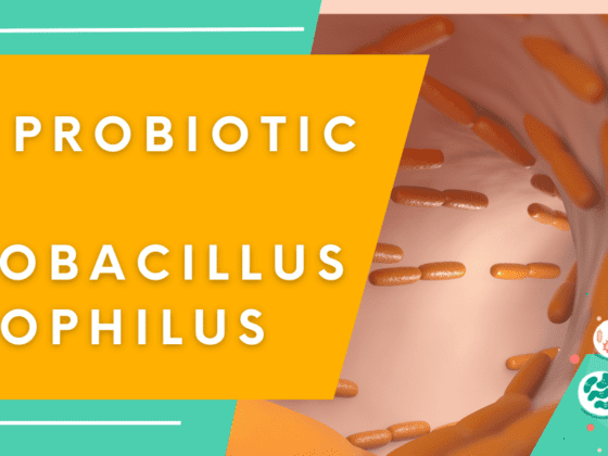 Best Probiotic With Lactobacillus Acidophilus