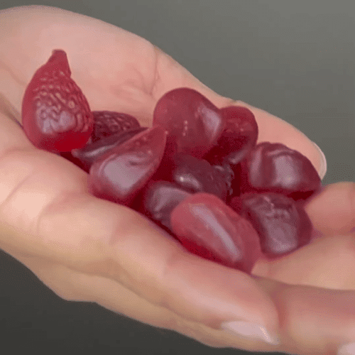 Future Kind Vegan Probiotic Gummies